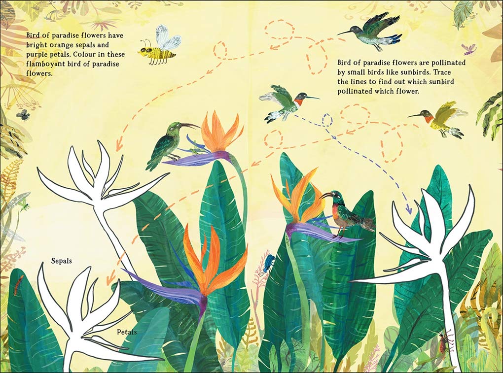 The Big Sticker Book of Blooms (Big Book) image 4
