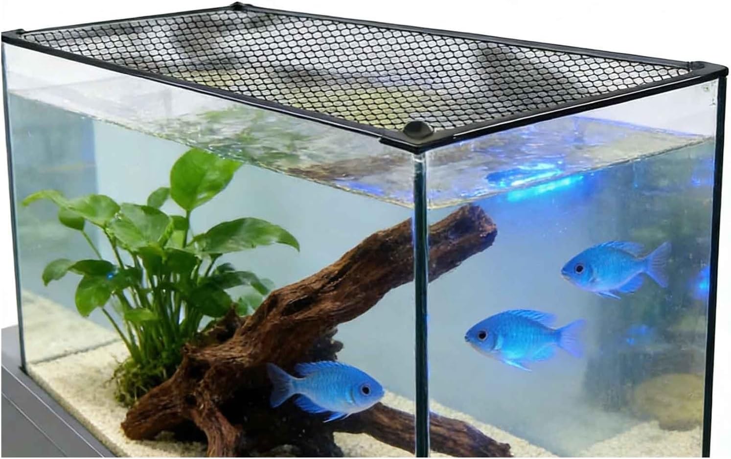 DIY Fish Tank Lid Aquarium Cover Prevent Fish from Jumping Out of The Tank and Reptile Pet from Escaping
