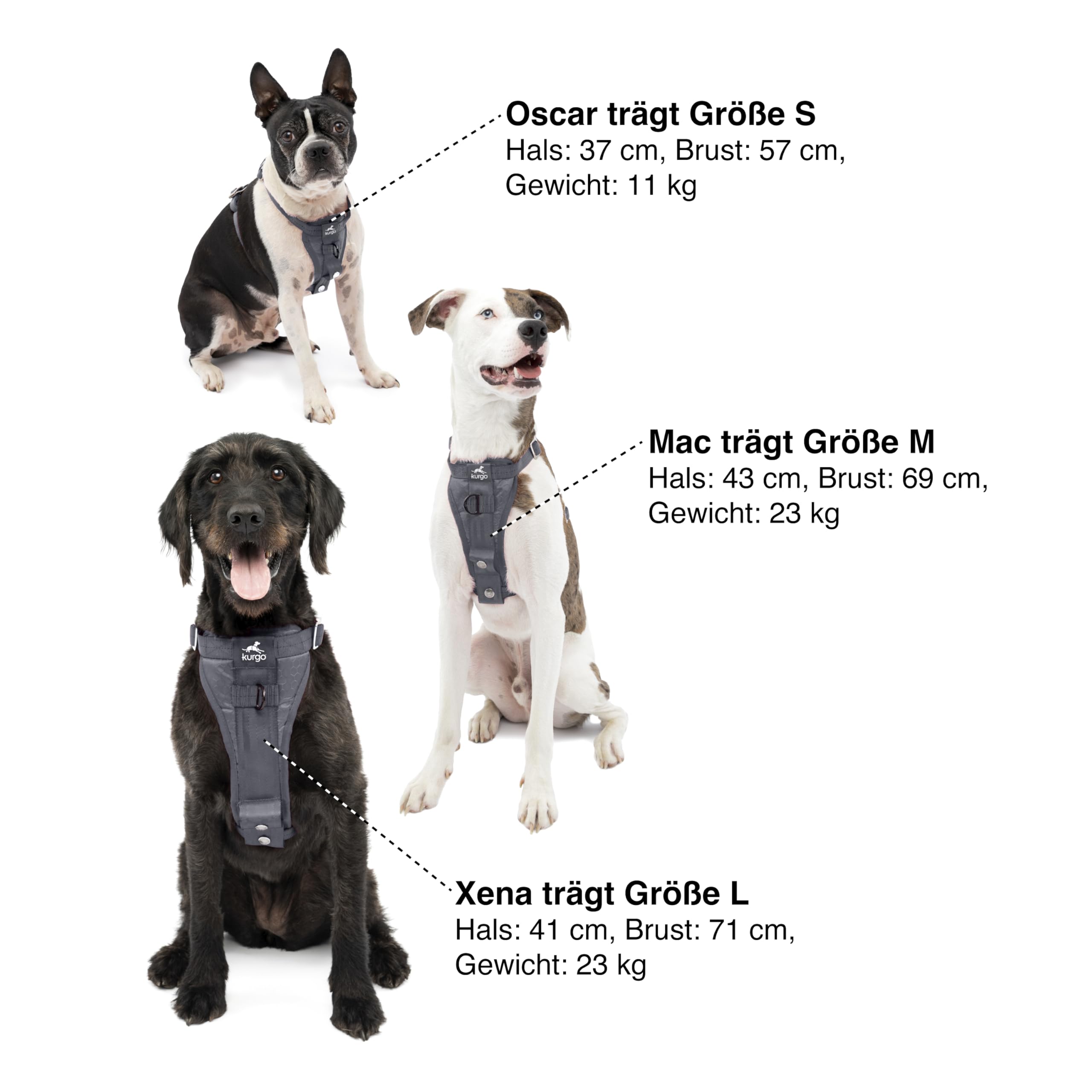 Kurgo TRU-Fit Hundegeschirr, Crash-Test-erprobtes Auto-Sicherheitsgurt, Für Hunde von 2 bis 5 kg, Größe M, Grau