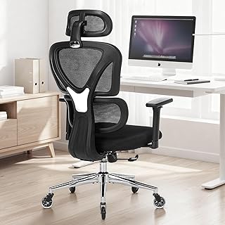 COLAMY Ergonomic Mesh Office Chair, Desk Chair with Dual Back for Adaptive Dynamic Lumbar Support, High Back Computer Chair with 2D Headrest and 3D Armrests, Foam Seat & Silver Legs