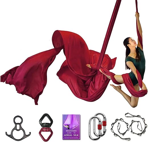 Aerial Silks Deluxe Equipment Set for Aerial Yoga, Aerial Yoga Hammock, Aerial Acrobatic,Circus Arts, Aerial Dance(L:10m ...