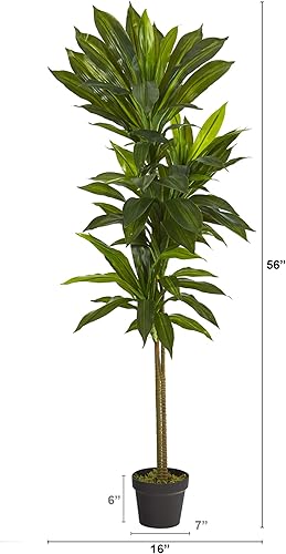 Vista 2 de Nearly Natural Planta artificial Dracaena de 56 pulgadas (tacto real)