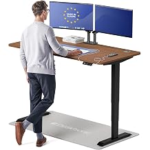 Desktronic HomePro Standing Desk 60x30 Made in Europe, Ergonomic Sit Stand Home Office Desk, Electric Height Adjustable, Dual Motor, USB & USB-C Charging, Wobble-Free, Touchscreen, 3 Memory Presets