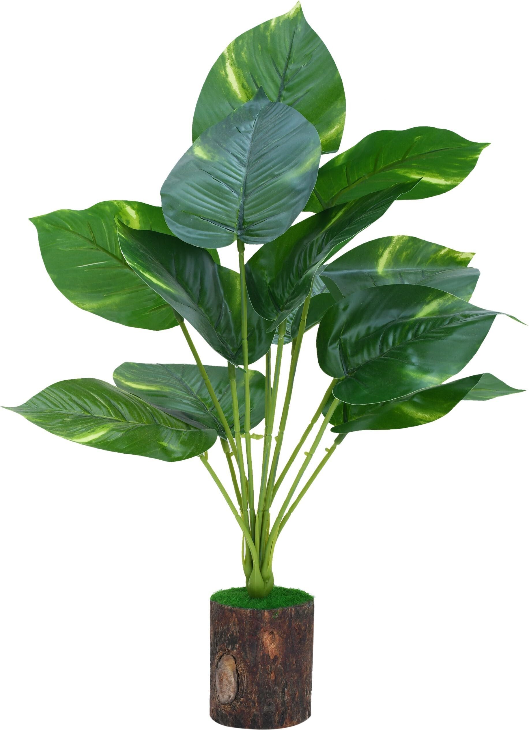 YASH ENTERPRISES 12 Patta Bonsai Artificial Plant with Pot (30 cm, Green) (B0DGXN4MM8) Amazon Price History, Amazon Price Tracker
