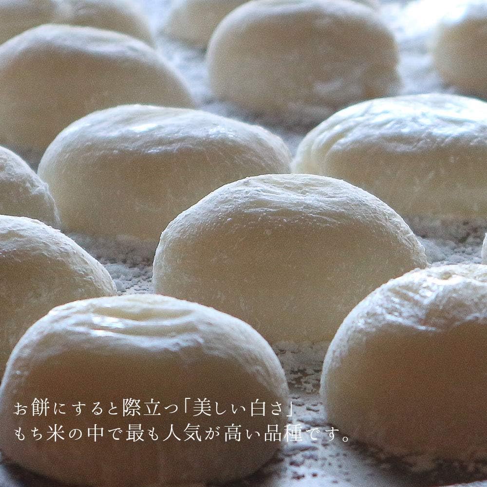 ヒメノモチ もち米 10kg (5kg×2袋) 山形県産 【黄色】 米屋の餅米 精米