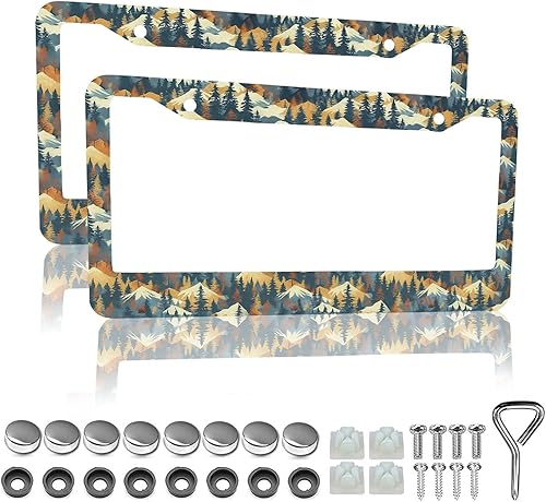Miniatura 10 de Marcos de matrícula retro de rayas - 2 paquetes de soporte de matrícula divertidos y personalizados de acero inoxidable para piezas decorativas de
