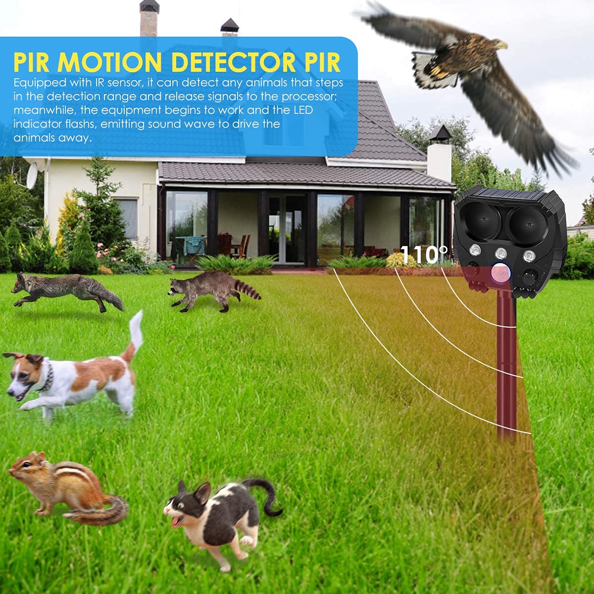 Buy BKEVERPP HAYIFTY Ultrasonic Cat Deterrent, Solar Animal Deterrent