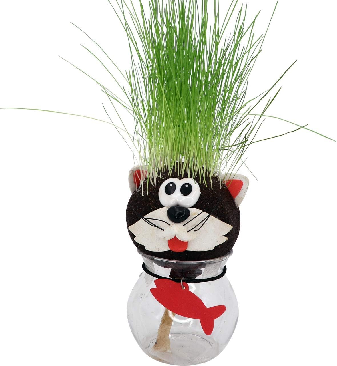 AvoSeedo Grass Head - Funny Fast Growing Grass Head Learning Toy for Kids (Cat)