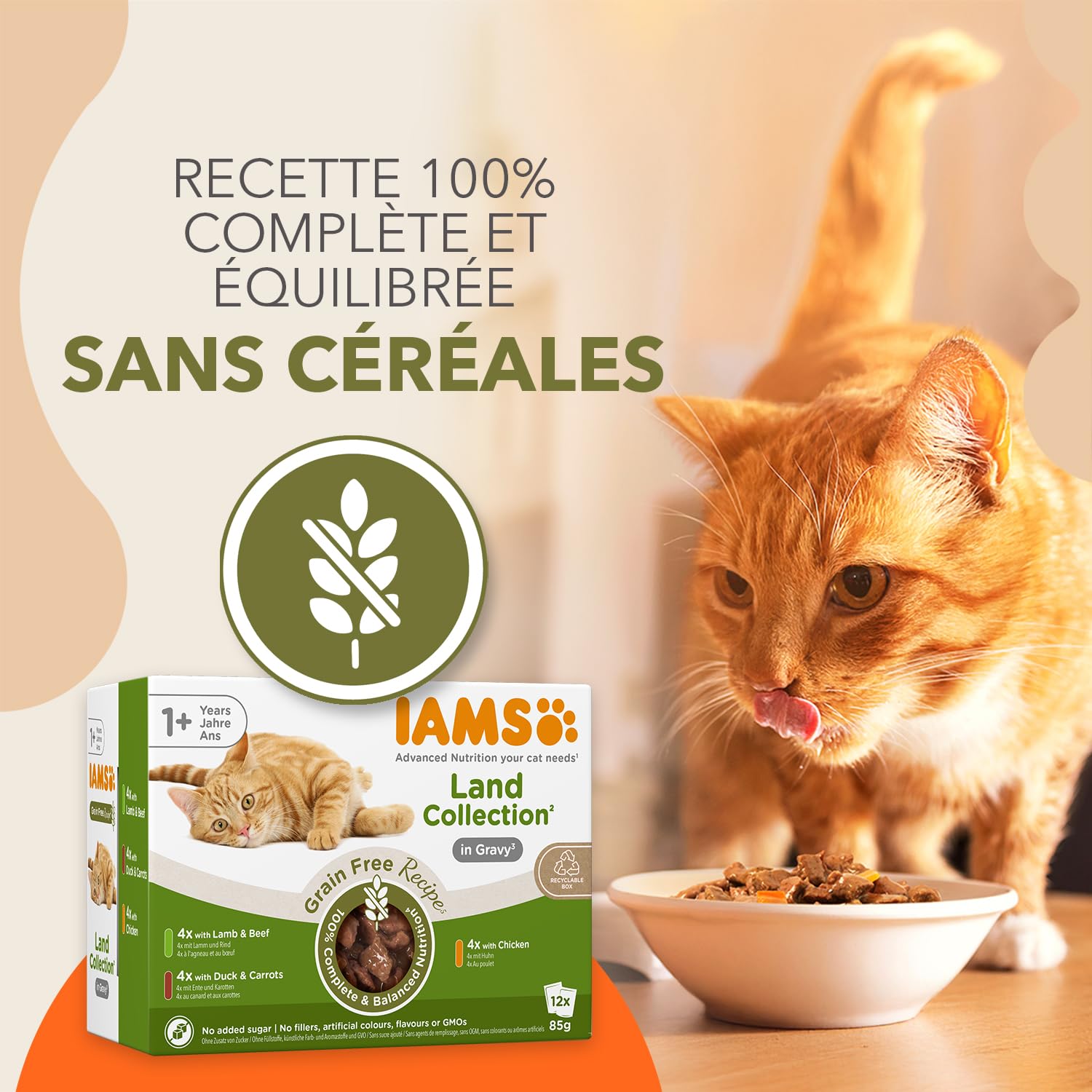 IAMS Delights Land Collection Nourriture Humide pour Chat sans céréales – Multipack avec Viande, variétés en Sauce, Nourriture Humide sans céréales pour Chats à partir de 1 an, 12 x 85 g