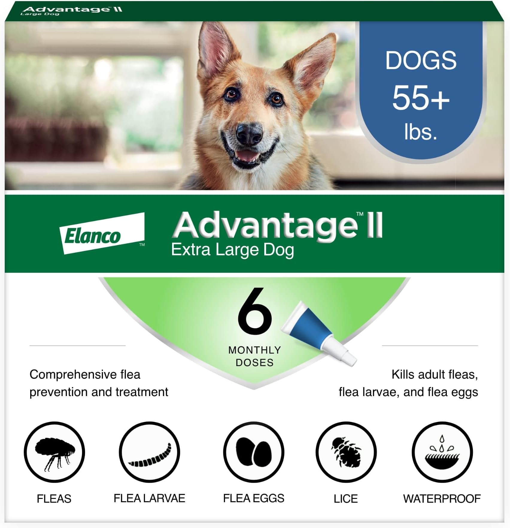 II XL Dog Vet-Recommended Flea Treatment & Prevention | Dogs Over 55 lbs. | 6-Month Supply