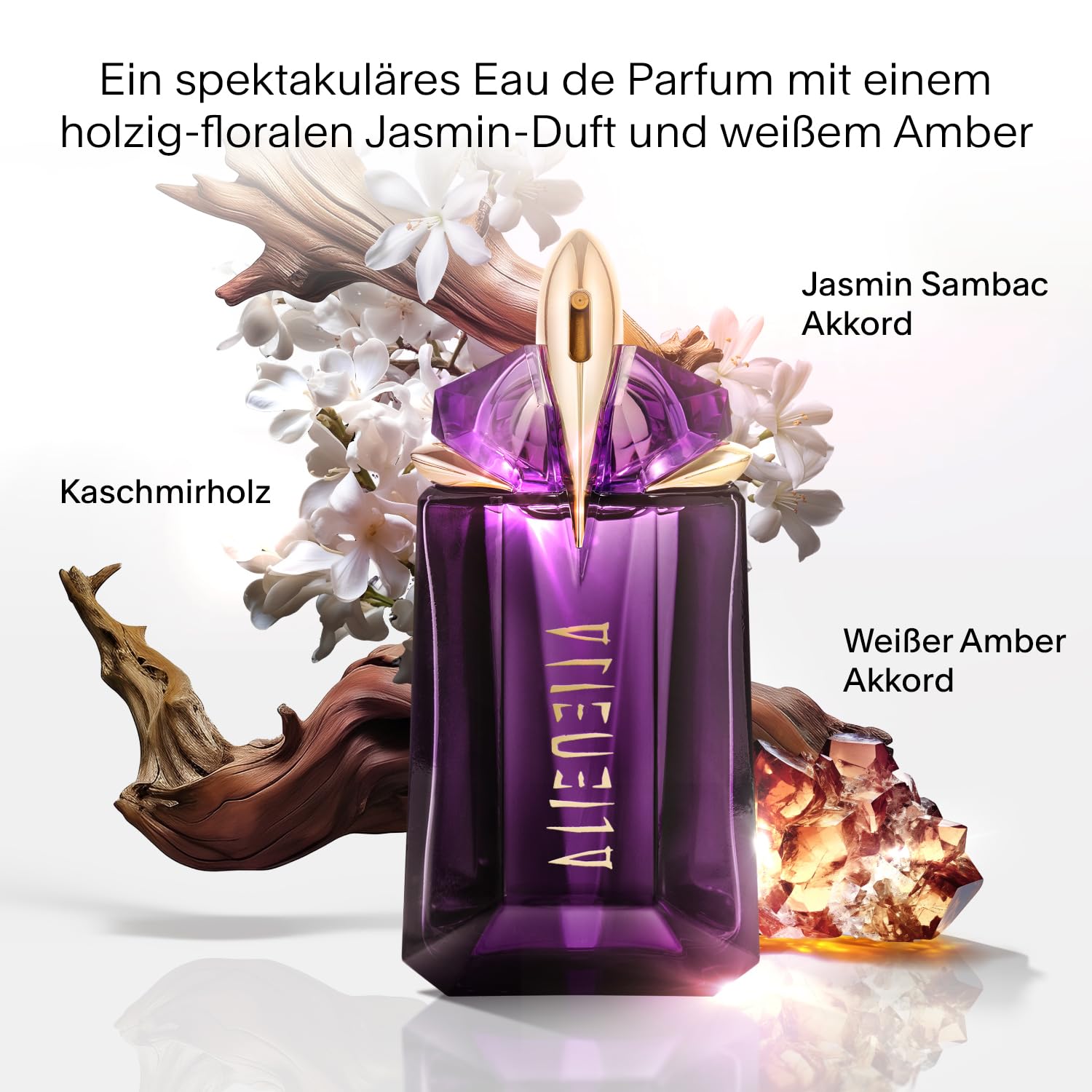 Beauty & Gesundheit: Unser Trendreport für März 2026