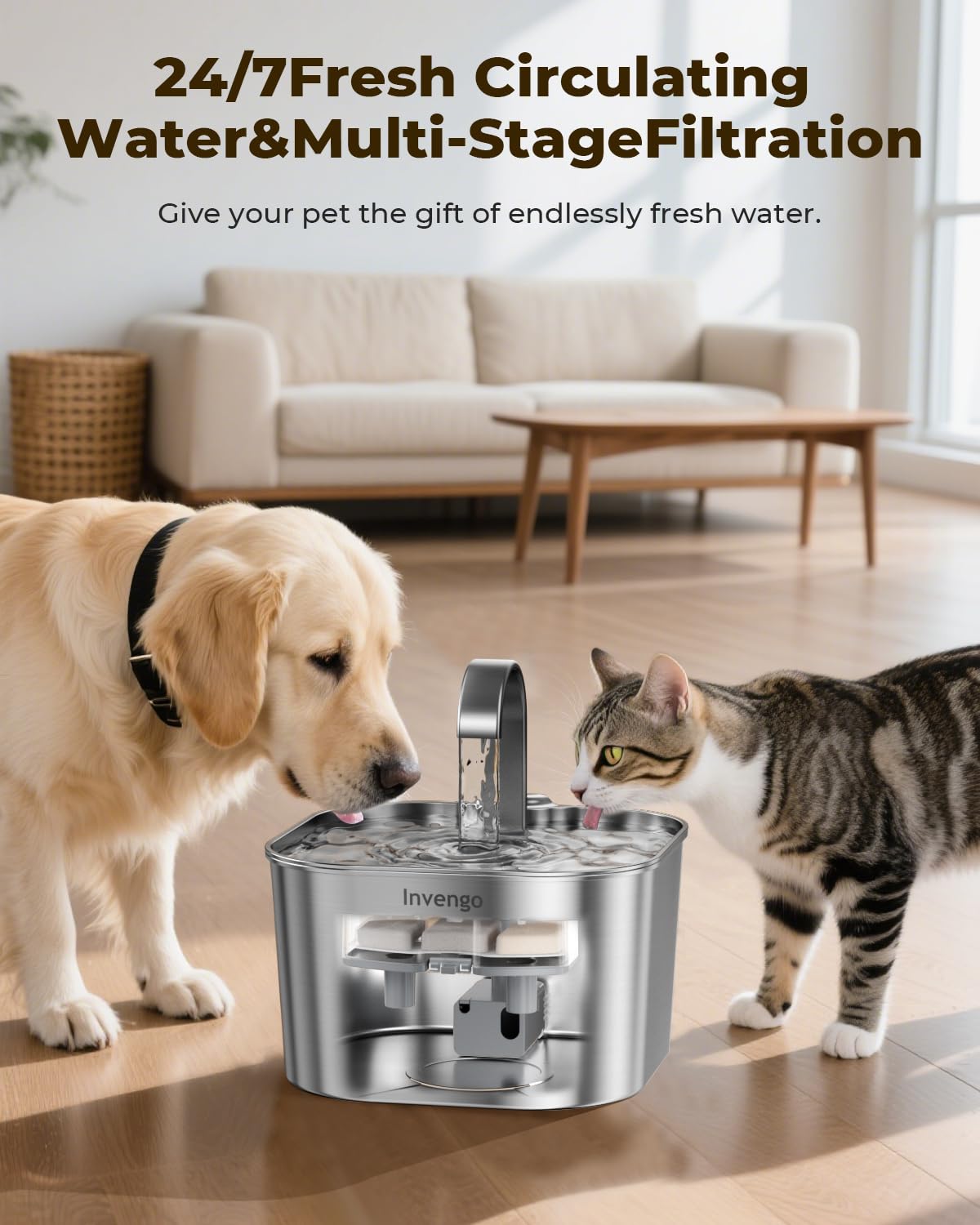 Cat Water Fountain Stainless Steel: 74oz/2.2L Cat Fountain for Drinking | Quiet Cats Water Bowl Dispenser | Pet Water Fountain for Cats Inside | Easy-to-Clean Kitty Drinking Fountains for Small Pets - image 7