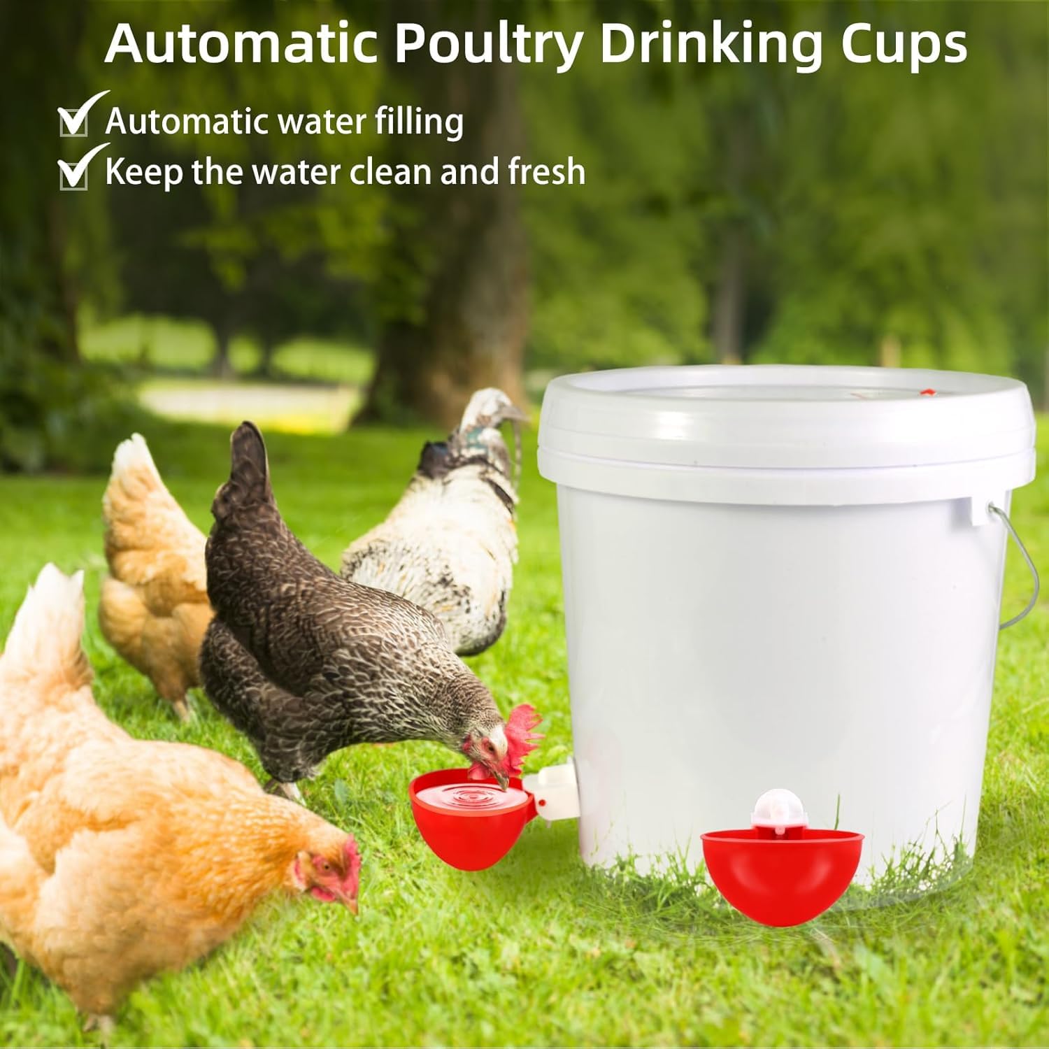 Lot de 10 Abreuvoirs Automatiques pour Poules,Distributeur d'eau Poule avec Foret,Abreuvoir Poule Automatique pour Poules,Canards,Oies,Dindes,Pigeons