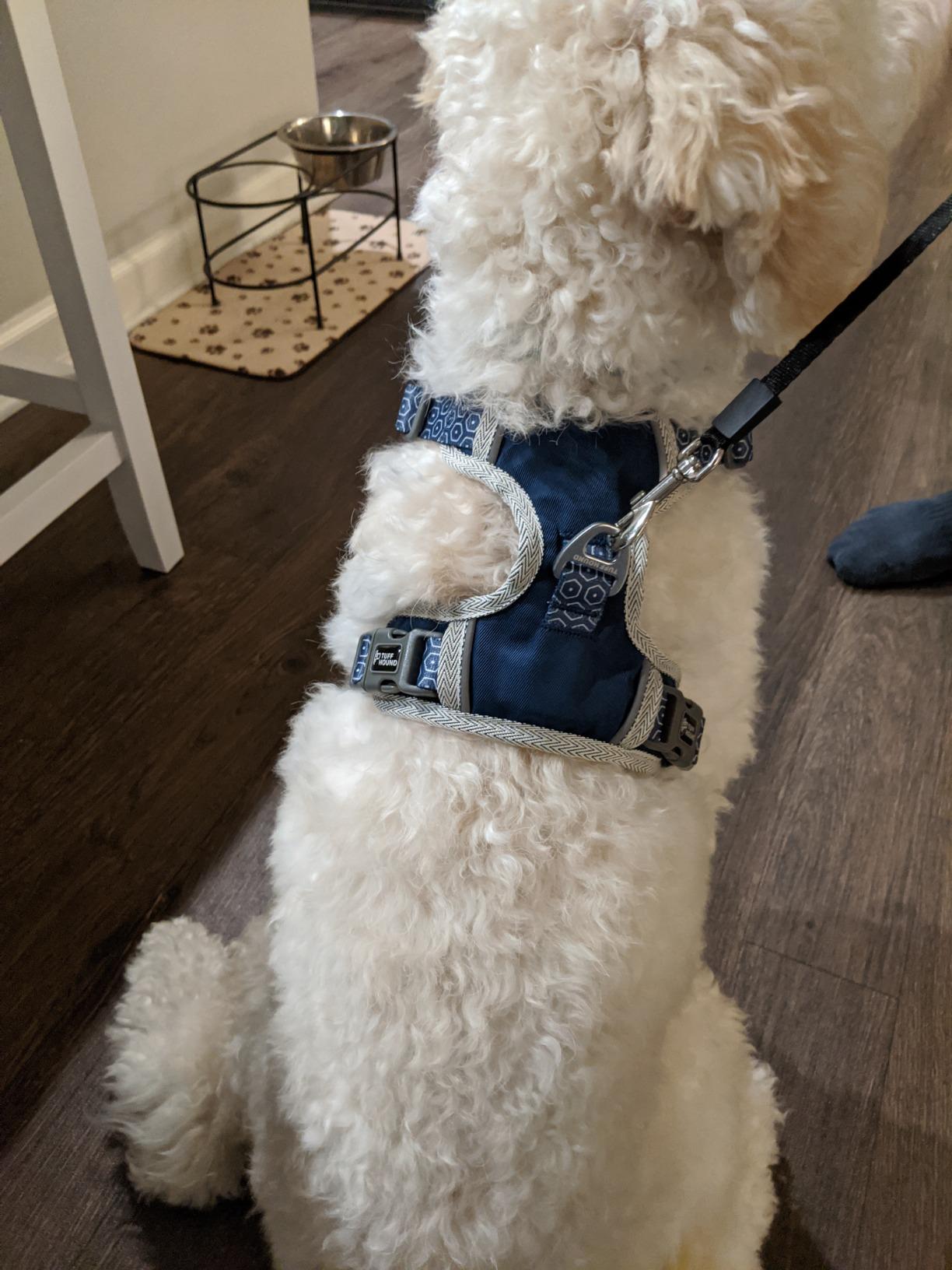 TUFF HOUND No Pull Dog Harness for Small Medium Dogs,3M Reflective Pet Vest