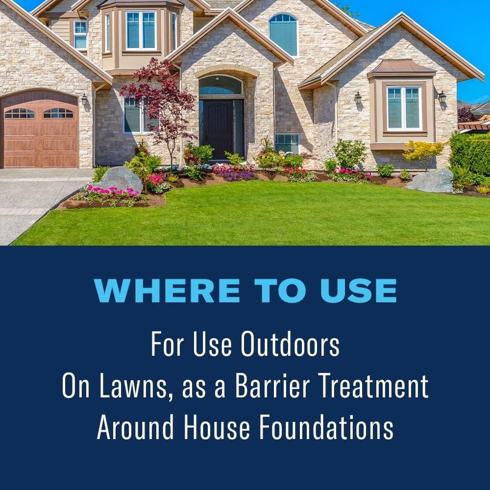 BioAdvanced 24 Hour Lawn Insect & Fire Ant Killer, Granules, 10 lb