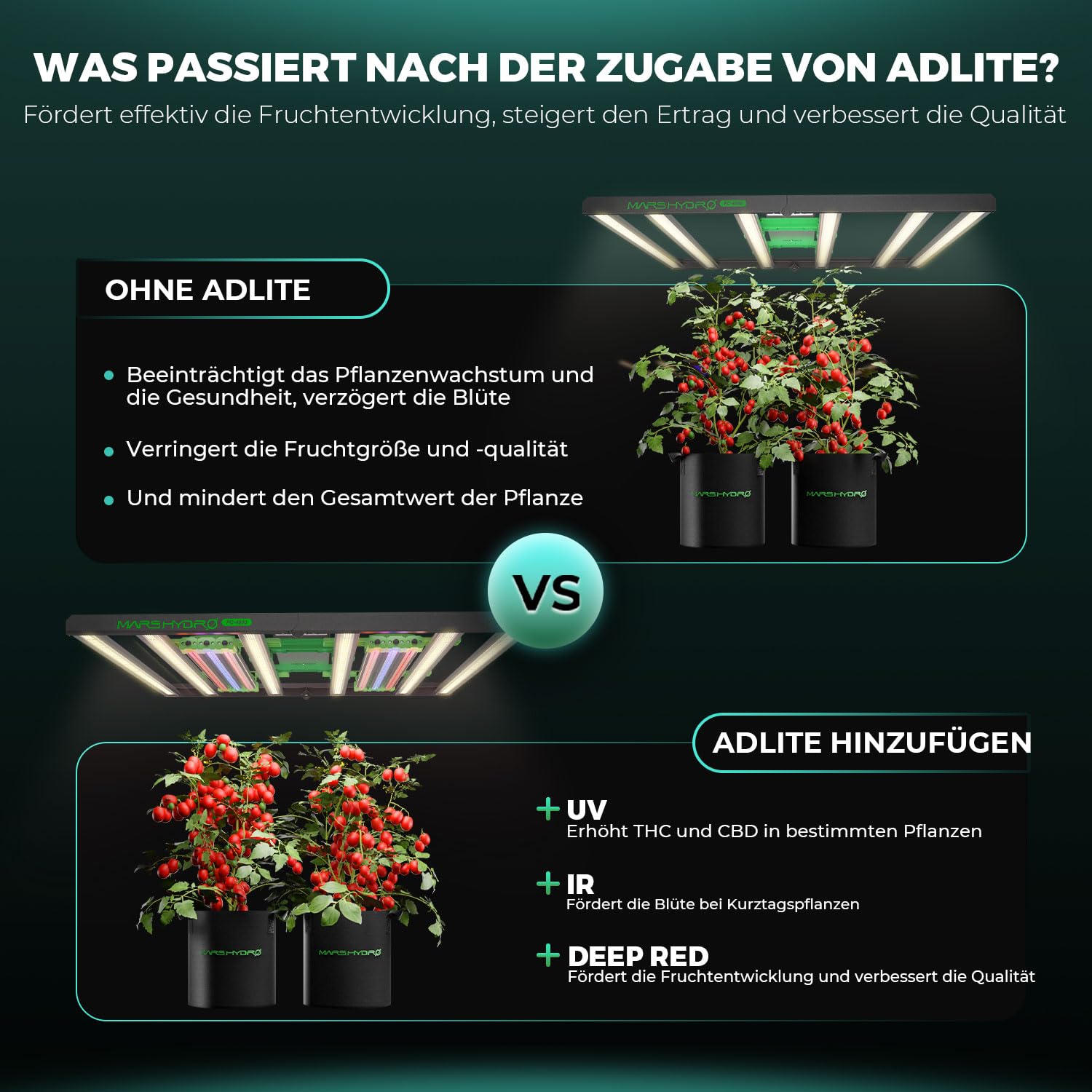 MARS HYDRO 2025 ADLITE RB55 55Wx2 LED Pflanzenlampe Leisten für Innenpflanzen, LED Grow Lampe 440nm & 660nm Spektrum, 120x60 cm Abdeckung, Red und Blue Led Pflanzenlampe für Grow Zelte, Grow Light