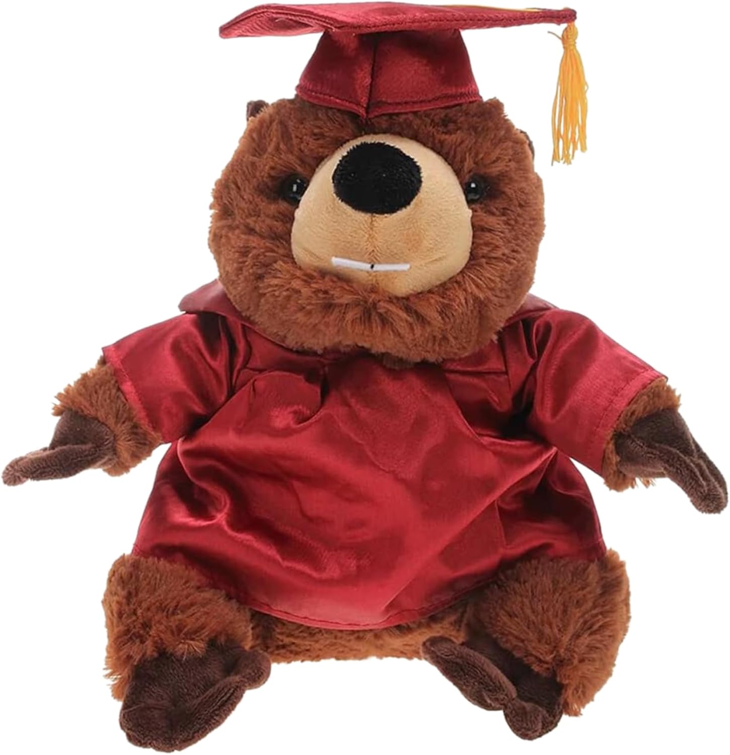 Personalized Beaver with Graduation Cap and Gown - Plush Stuffed Animal Toy 12 inch - Graduation Gift with Customized Text Name School Logo on Gown for Any Student (Black Cap & Gown)