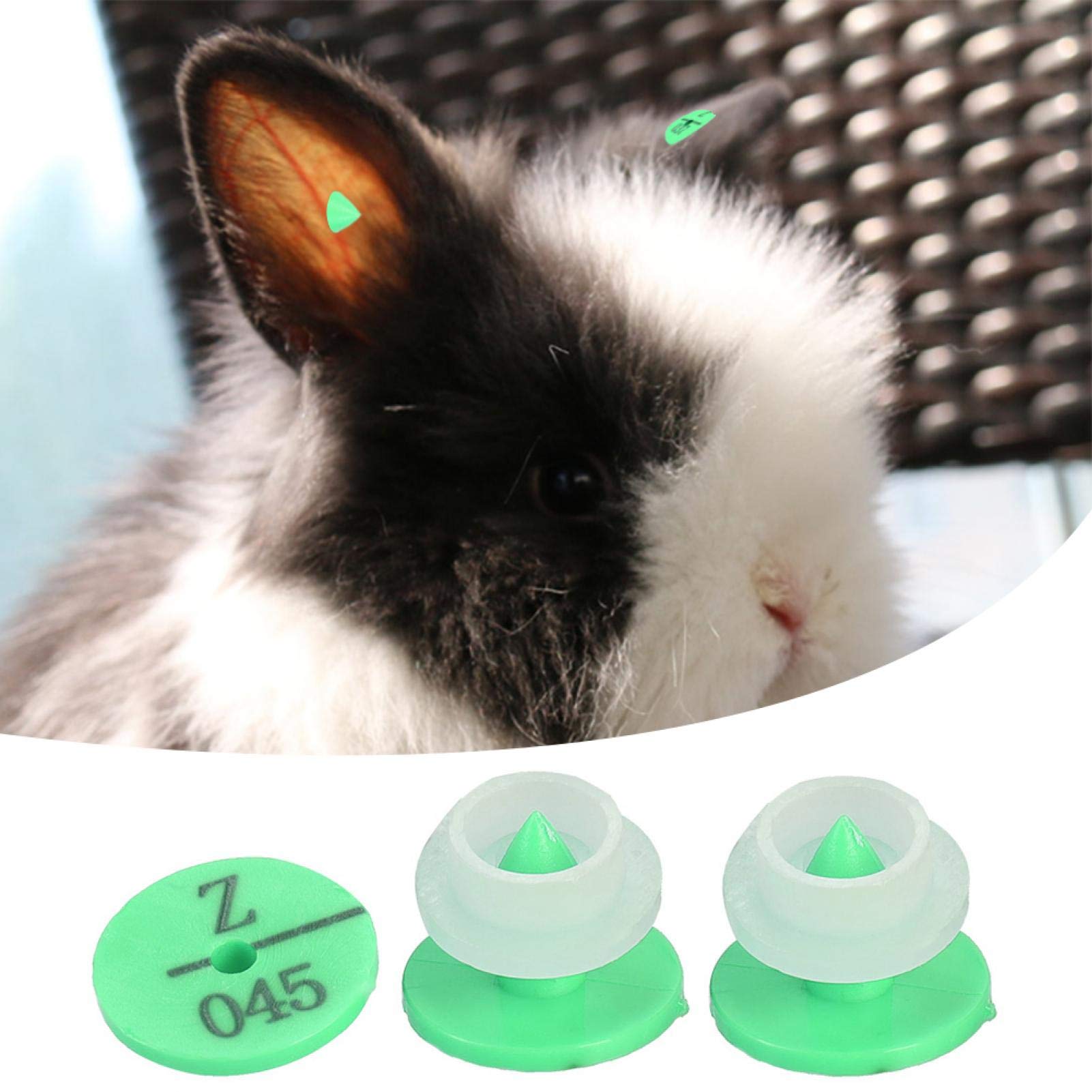 Pince à étiqueter d'oreille pour Animaux d'élevage, 100 pièces étiquette d'oreille en Plastique pour Animaux d'élevage de qualité pour étiquette de marqueur de Chien de Lapin(Vert)