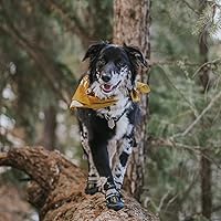 Vista 6 de QUMY - Botas para perros grandes y medianos, protectores de patas para nieve de invierno o pavimento caliente de verano, impermeables para clima