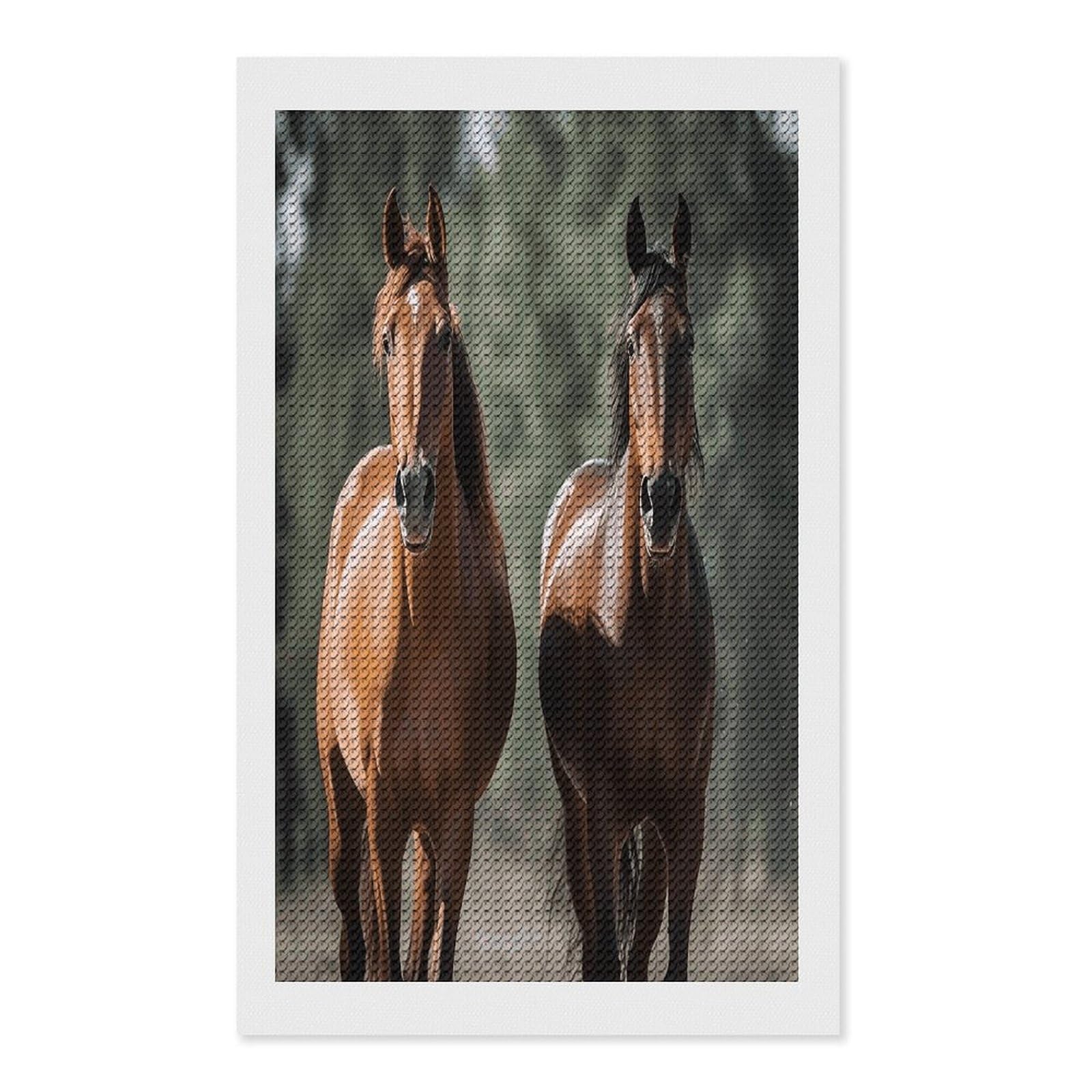 FekiLoot Animales Horses Diamond Art Kits for Adults Diamond Painting Kits for Beginners DIY Diamond Art Kits Round Full Drill Diamond Dot Gem Painting for Home Wall Decor Gift 12"x20"