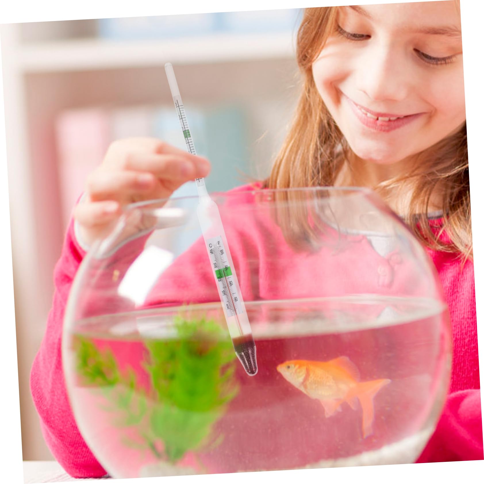 Gatuida 4sets Idrometro Da Acquario Salinometro Professionale Per Test Di Salinità Ambienti Marini Con Accessori e Misurazione Precisa e Affidabile Della Densità Salata