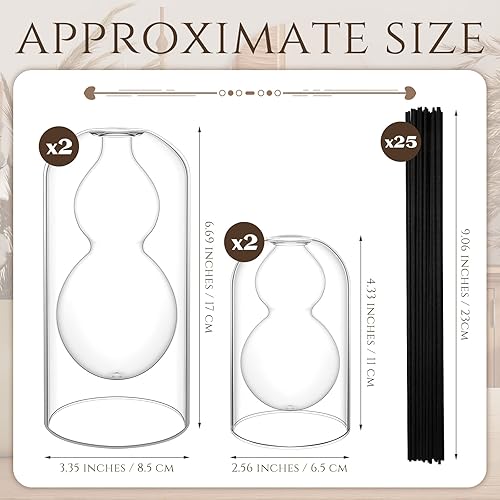Miniatura 2 de 4 botellas de difusor de varillas de vidrio de aromaterapia de calabaza, vidrio recargable vacío con 25 varillas negras de varillas de 2 tamaños,