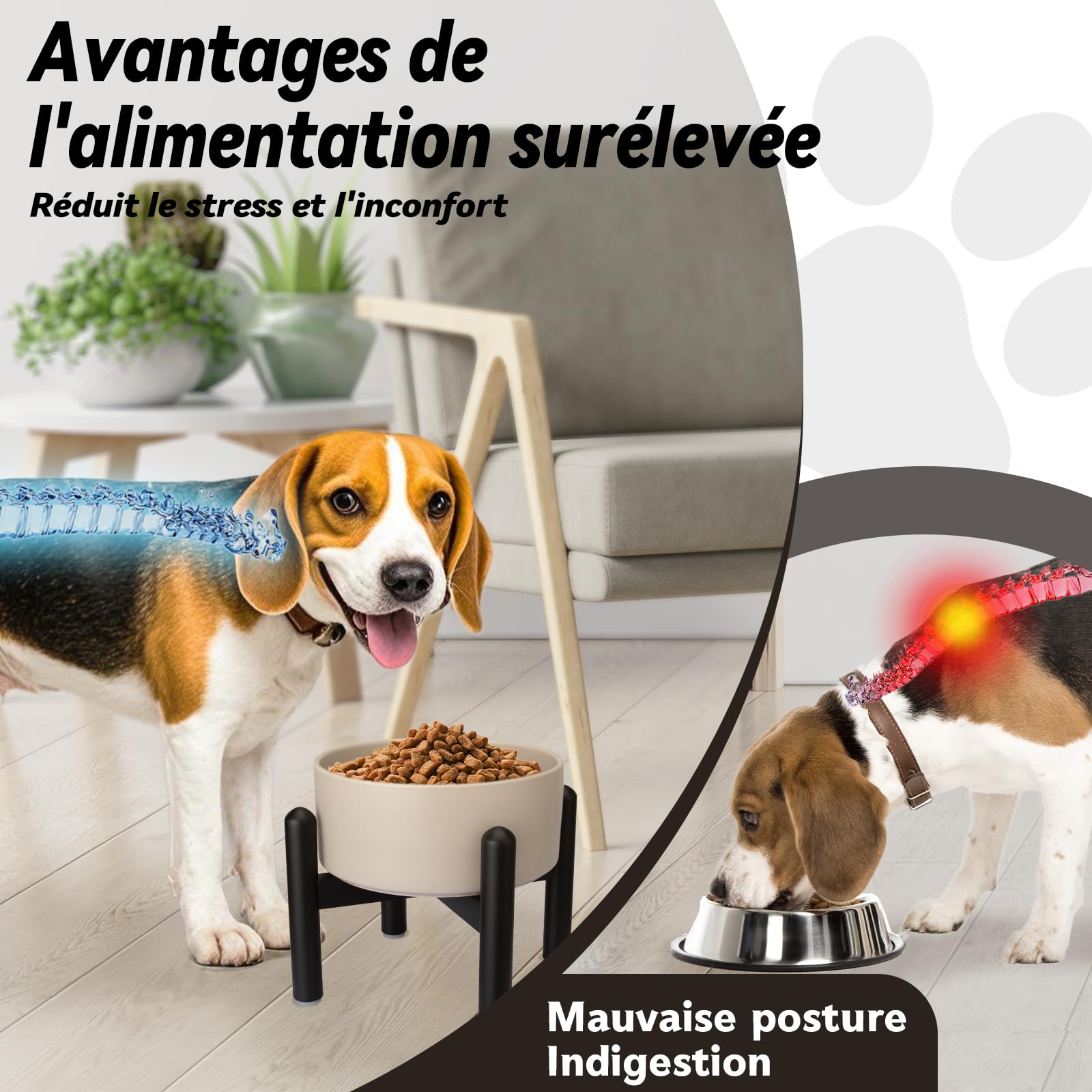 Gamelle pour Chien Surélevée en Céramique - Gamelle en Hauteur avec Support en Acier Inoxydable - Bol pour Petits et Moyens Chiens - 850 ML - Rose
