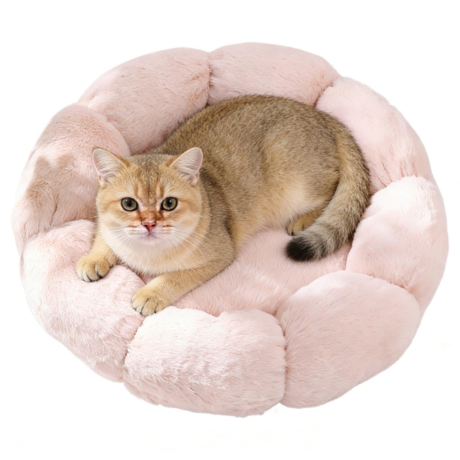 Lit pour animal de compagnie en peluche douce lavable de 40 cm pour petit chat et chien