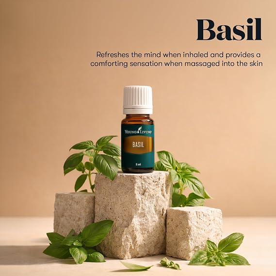 Young Living Basil Essential Oil | 15 ml | Fresh Herbaceous Aroma for Diffusers, Massage & Daily Aromatherapy | Seed to Seal Premium Essential Oil for Home & Personal Use
