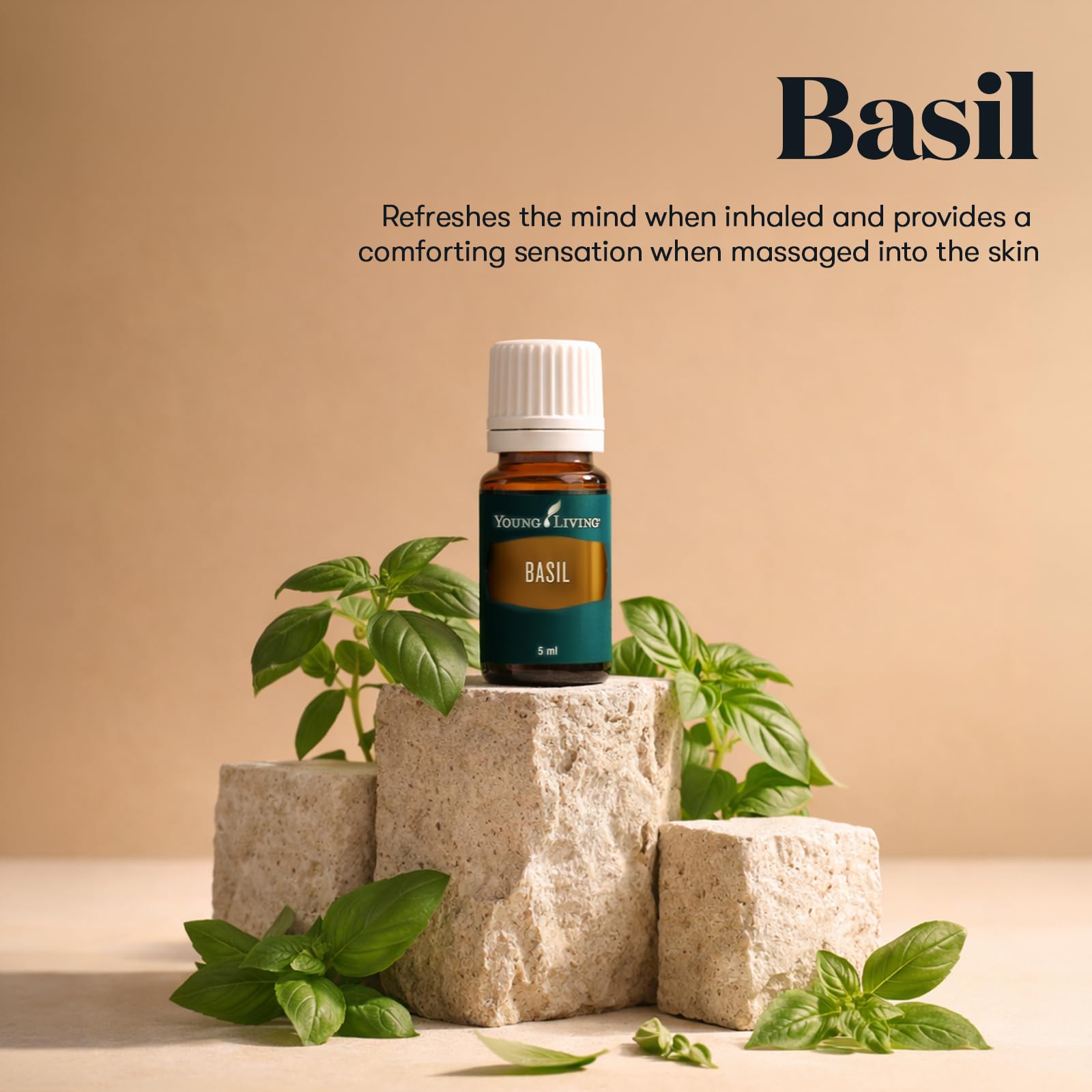 Amazon.com: Young Living Basil Essential Oil | 15 ml | Fresh