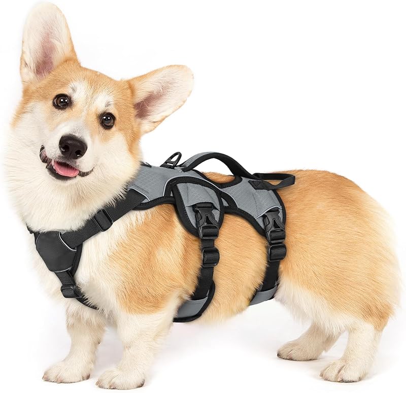 Peitoral Vest rabbitgoo para Cães Pequenos com Alça de Controle e 5 Ajustes DTLGBD01SGR23CW