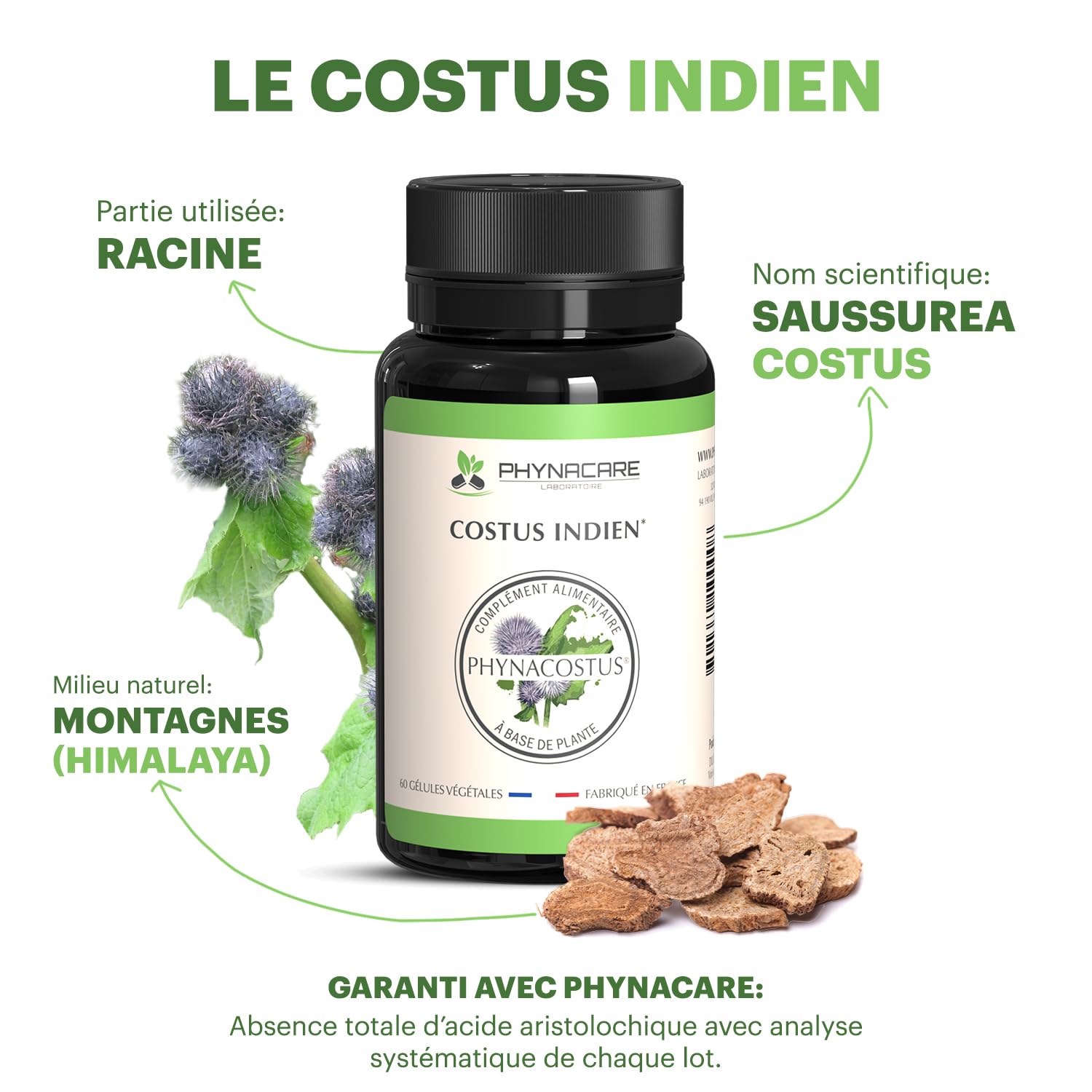COSTUS INDIEN - COSTUS MARIN - 60 GÉLULES VÉGÉTALES - PHYNACOSTUS, FABRIQUE ET ANALYSÉ EN FRANCE, PHYNACARE LABORATOIRE
