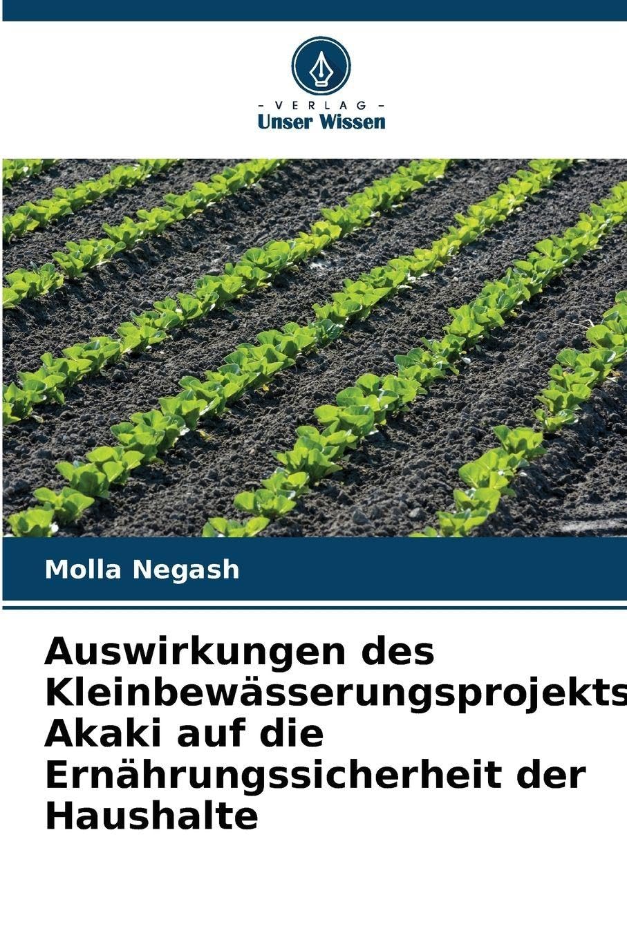 Auswirkungen des Kleinbewässerungsprojekts Akaki auf die Ernährungssicherheit der Haushalte