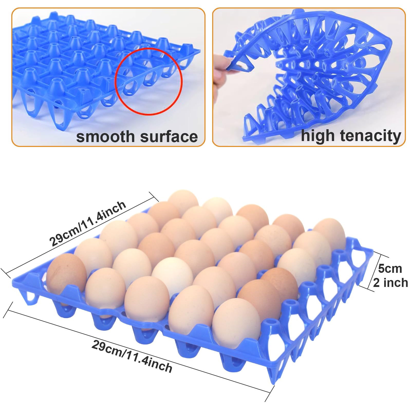 Aazon.co: ZOFORTY Plastic Egg Cartons Bulk - 50 Pack Clear Egg Cartons Epty Chicken Egg Tray