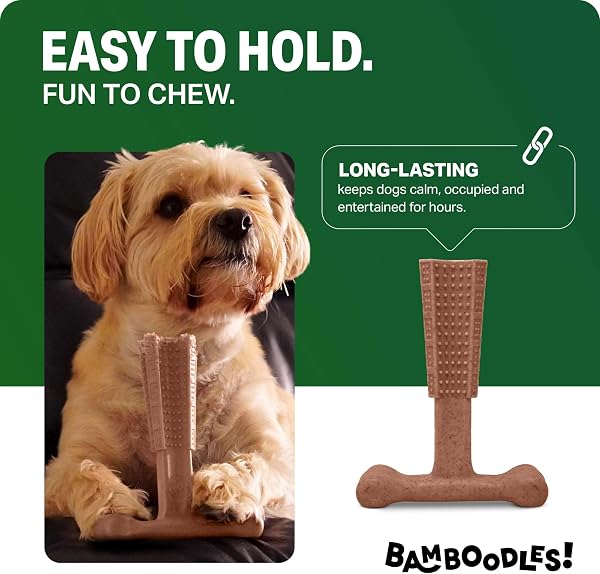 Bamboodles Dog Chew Toy – Small | Beef Flavour | Long Lasting Chew toy for Small Dogs | Durable and Safe Daily Chew - 1