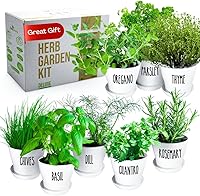 Zestigreen Deluxe Indoor Outdoor Herb Garden Kit: 8 Culinary Herbs, Pots, Soil & Guide for Easy Windowsill Growing