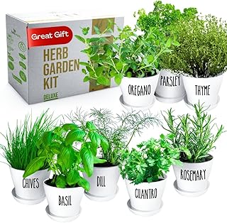 Deluxe Indoor & Outdoor Herb Garden Kit – 8 or The Most Popular Culinary...