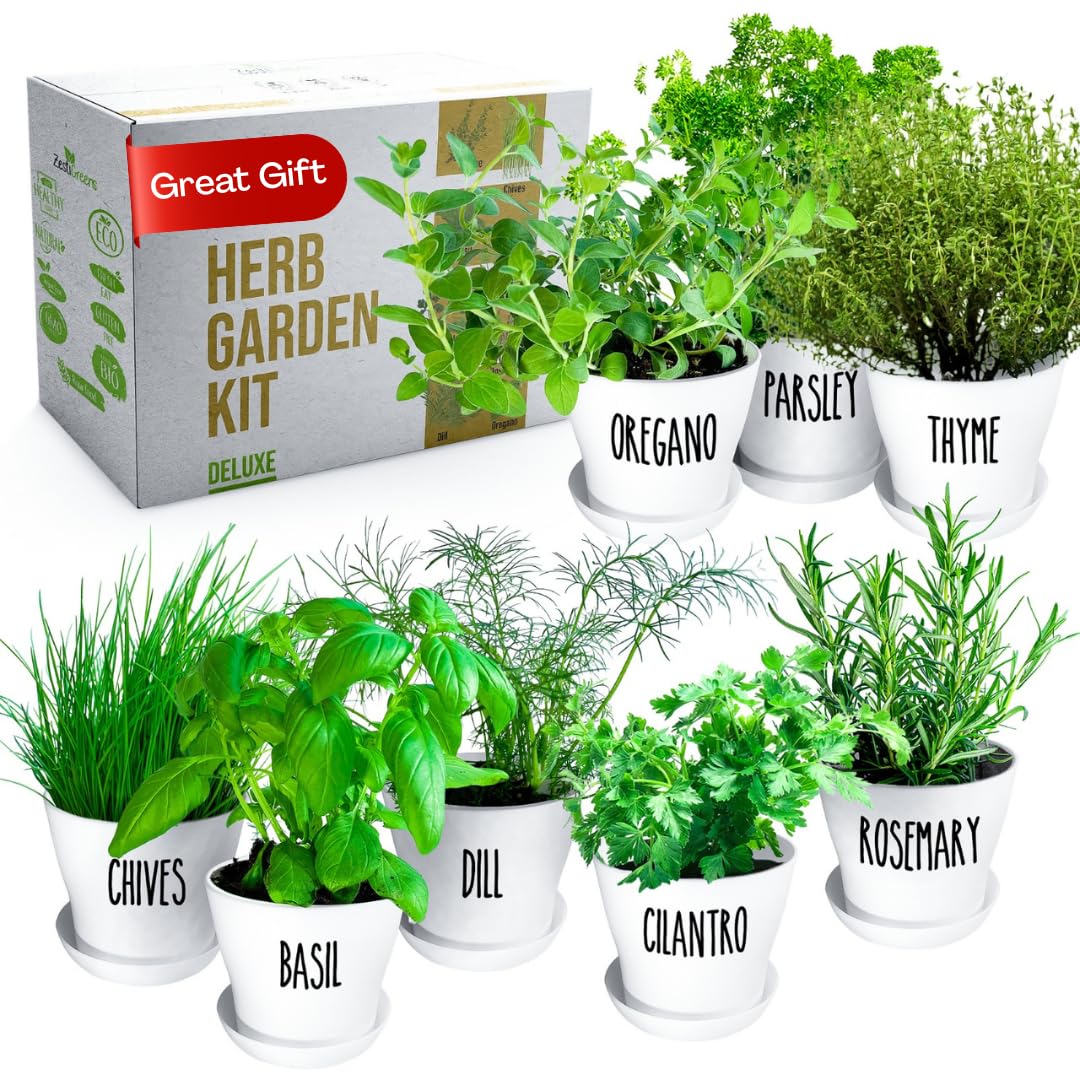 ZESTIGREENS Deluxe Herb Garden Kit - 8 Variety Herbs for Indoor & Outdoor – Get Growing with Pots, Potting Soil for Window Herb Garden. (8 Set Deluxe herb kit)