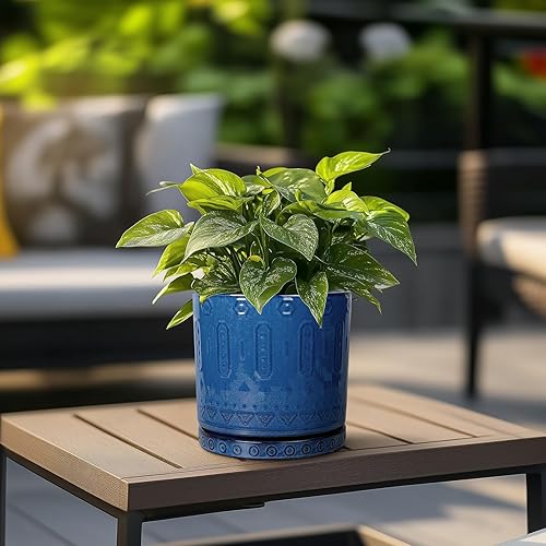 Miniatura 4 de Maceta de cerámica de 6 pulgadas para plantas de exterior, maceta de interior con agujeros de drenaje y platillo para suculentas, maceta redonda