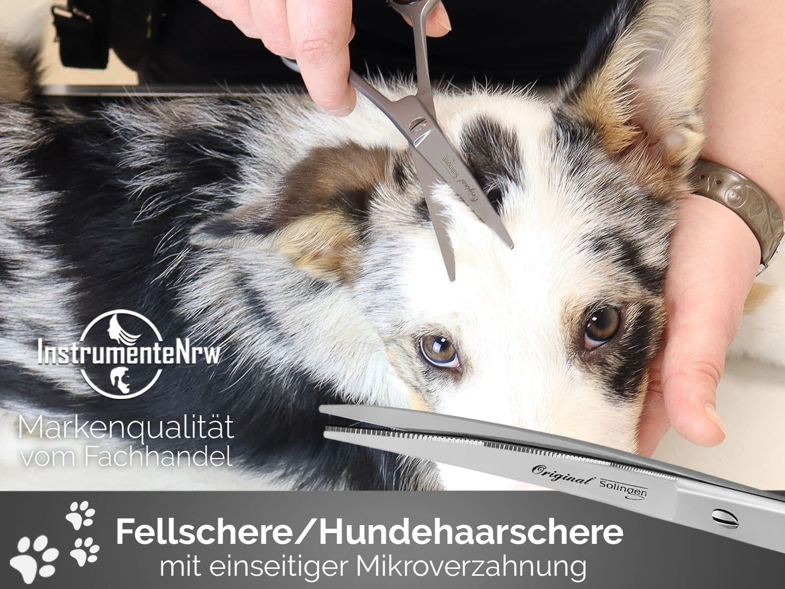Solinger Premium Hundehaarscheren Fellscheren Set 3-Teiliges Scheren-Set | Solingen Made in Germany Rostfreier Edelstahl Gebogene und mikroverzahnte scharfe Schnittflächen & abgerundeten Scheren Enden