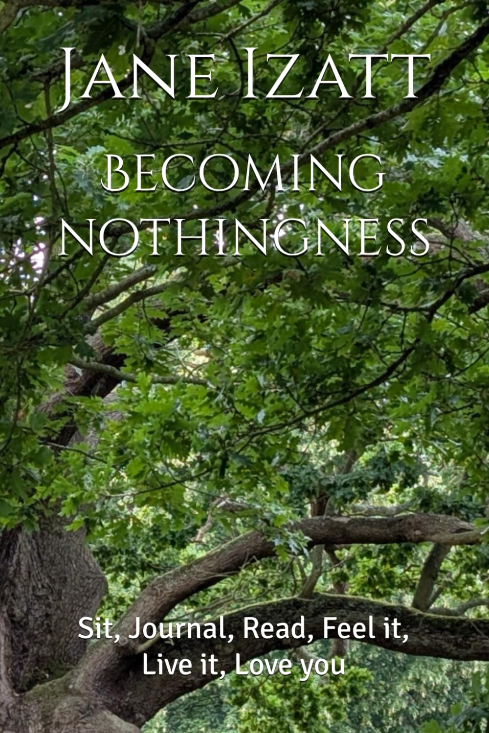 Becoming nothingness: Sit, Journal, Read, Feel it, Live it, Love you