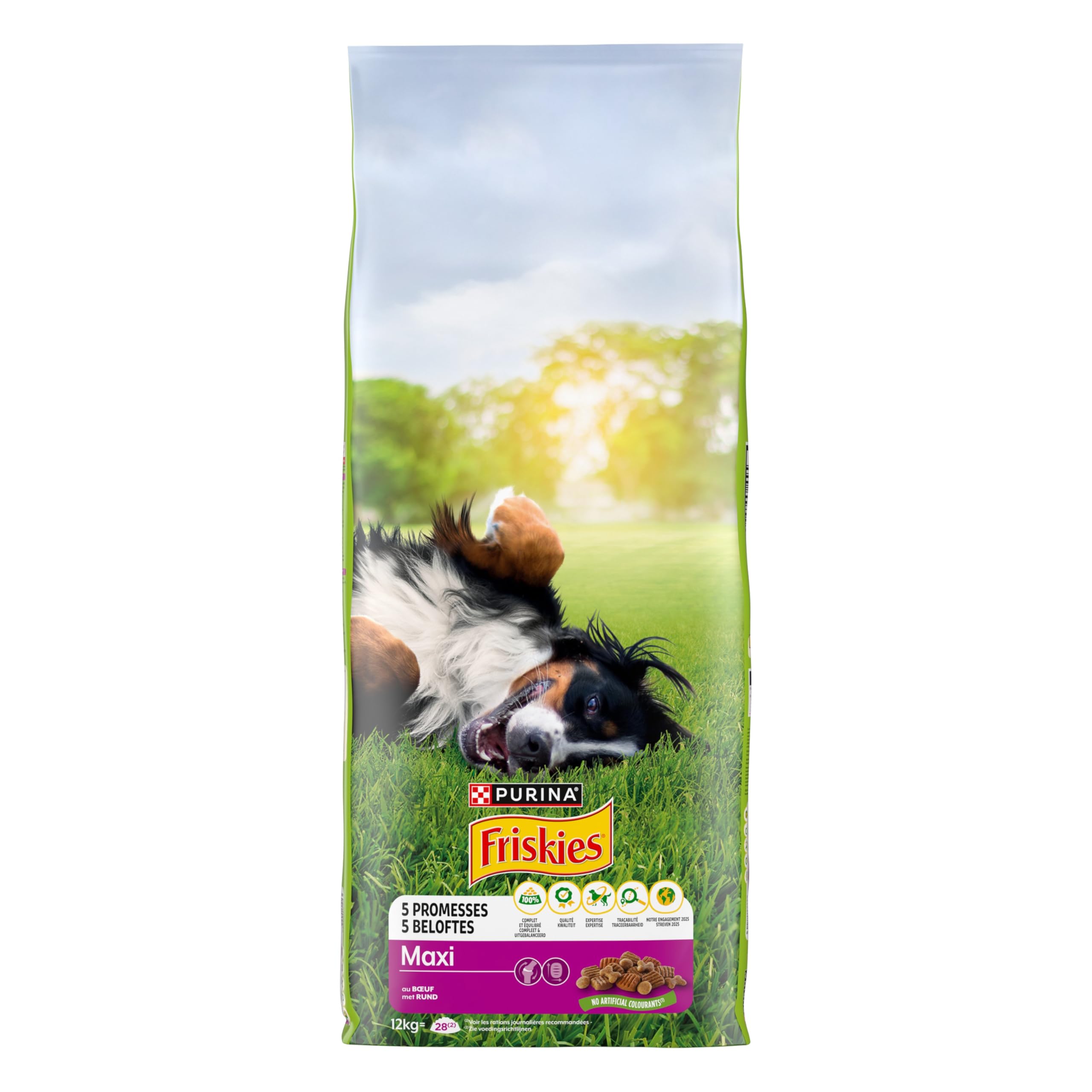 FRISKIES | Maxi | Chien | Croquettes pour Chiens Adultes de Grande Taille | au Boeuf | Source de protéines de Haute qualité | Sac | 12 KG