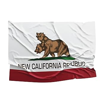 Amazon.com : New California Republic Flag Double Stitched