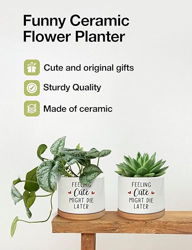 Miniatura 5 de Feeling Cute Might Die Later - Maceta de cerámica grabada para suculentas, aloe y cactus, divertidas macetas de interior con bandeja de bambú para