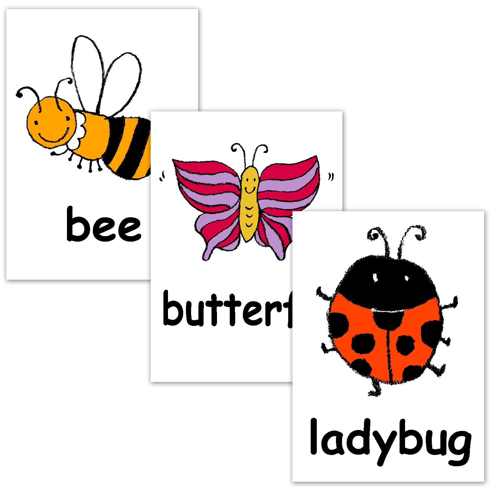 Amazon Co Jp フラッシュカード 英語カード Com 虫 A４サイズ ラミネート加工 Flashcards English Word Cards Insects Size Laminated 文房具 オフィス用品