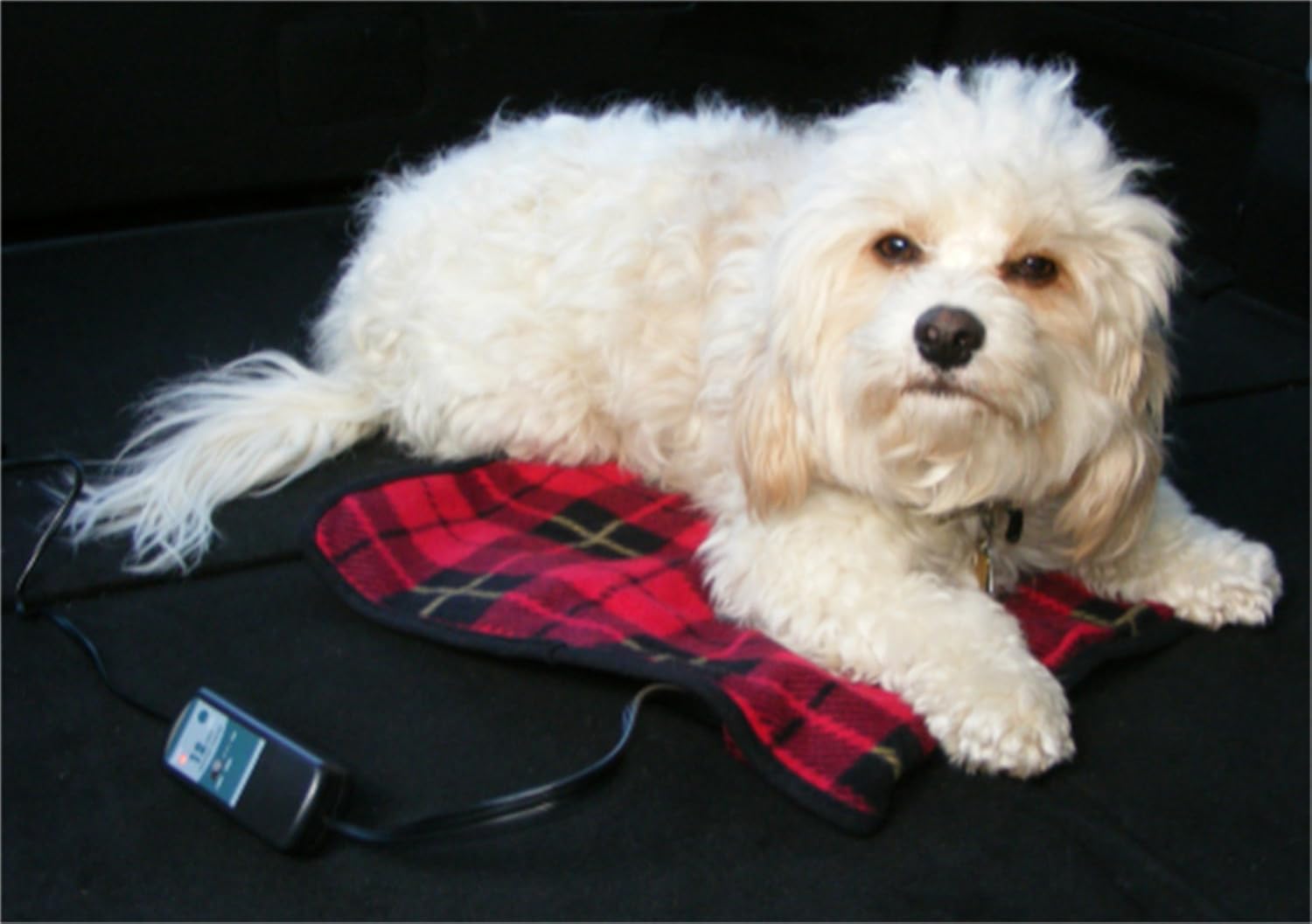 Car Cozy 2 12-Volt Heated Mini Travel Blanket : Automotive