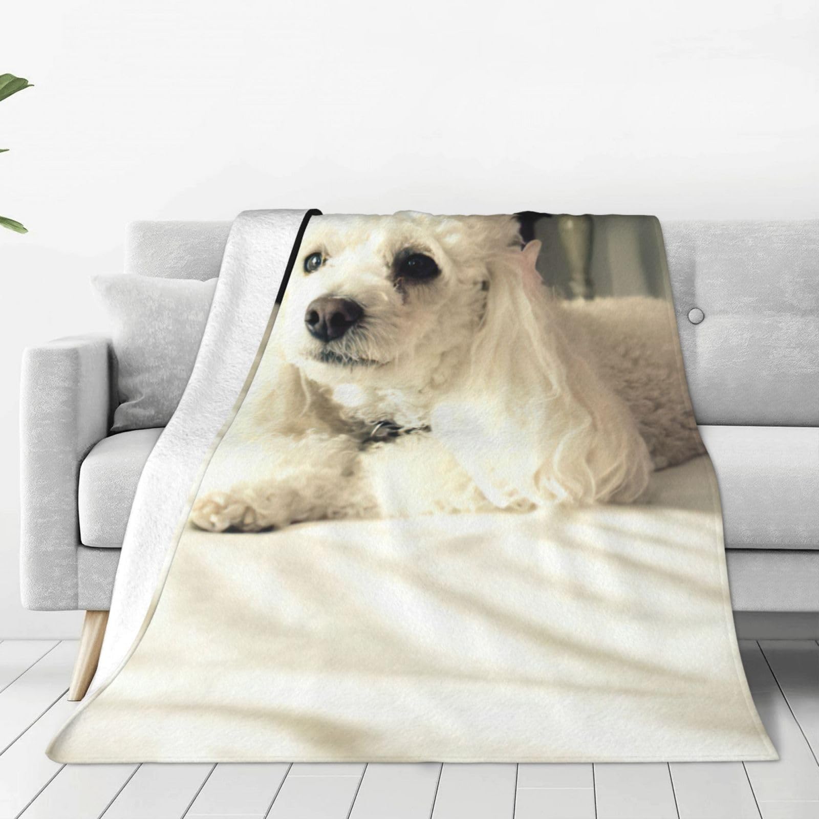 Couverture polaire caniche français jeté de lit chaud plaid canapé