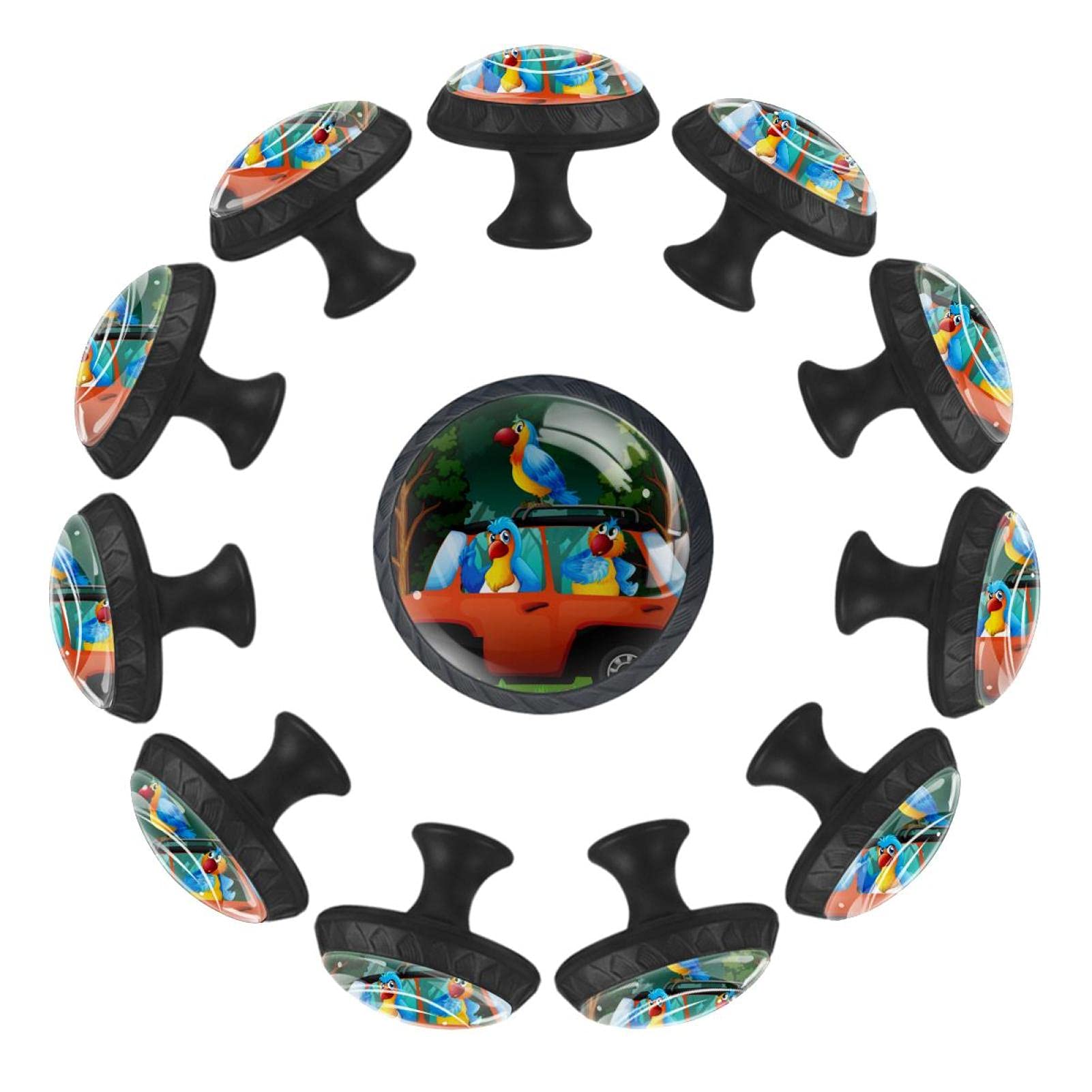 Boutons de tiroir ronds 35 mm motif perroquet lot de 12 pour commode