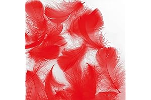Mesmerizing Red Feathers Ignite Your Creativity