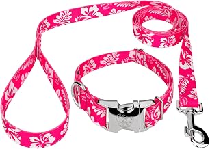 Country Brook Petz - Premium Pink Hawaiian Dog Collar and Leash - Summer Breeze Collection Featuring Sunny Designs (1 Inch, Medium)